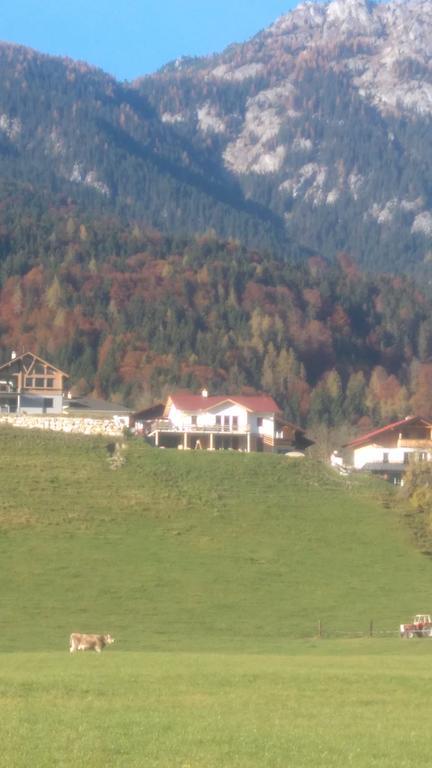 Ferienwohnung Sunnseitn Haus im Ennstal Luaran gambar